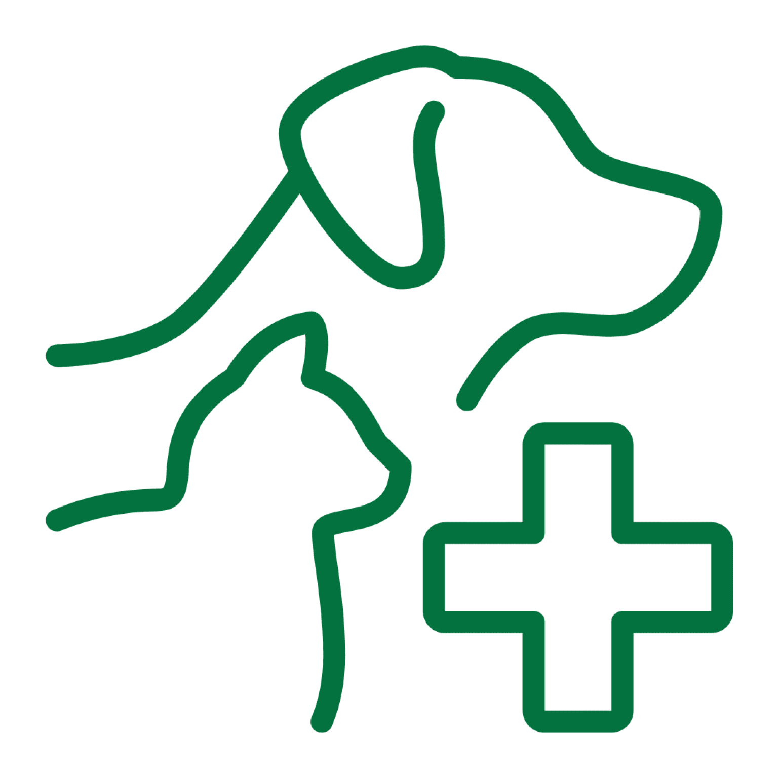 Veterinarian providing spay/neuter services.
