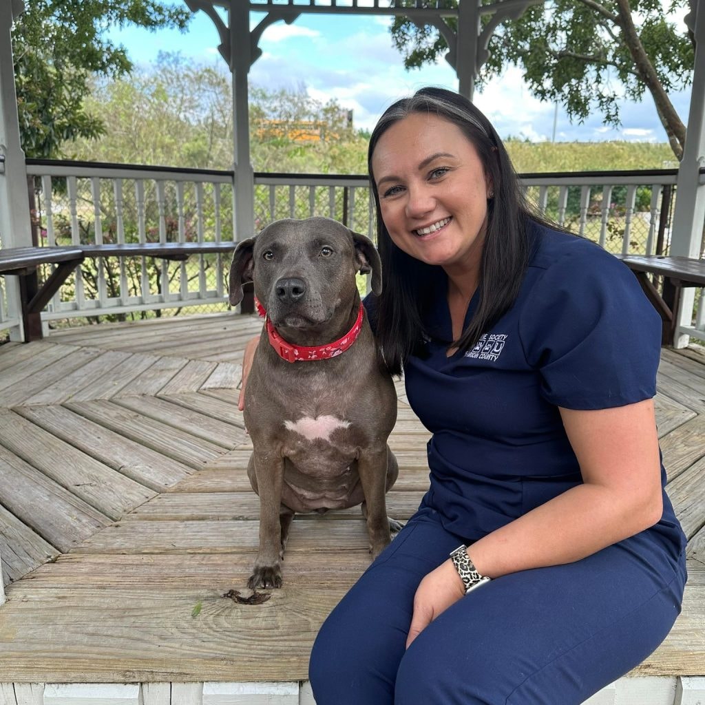 Kim Bice, Clinic Manager, with a gray dog at the HSMC gazebo.