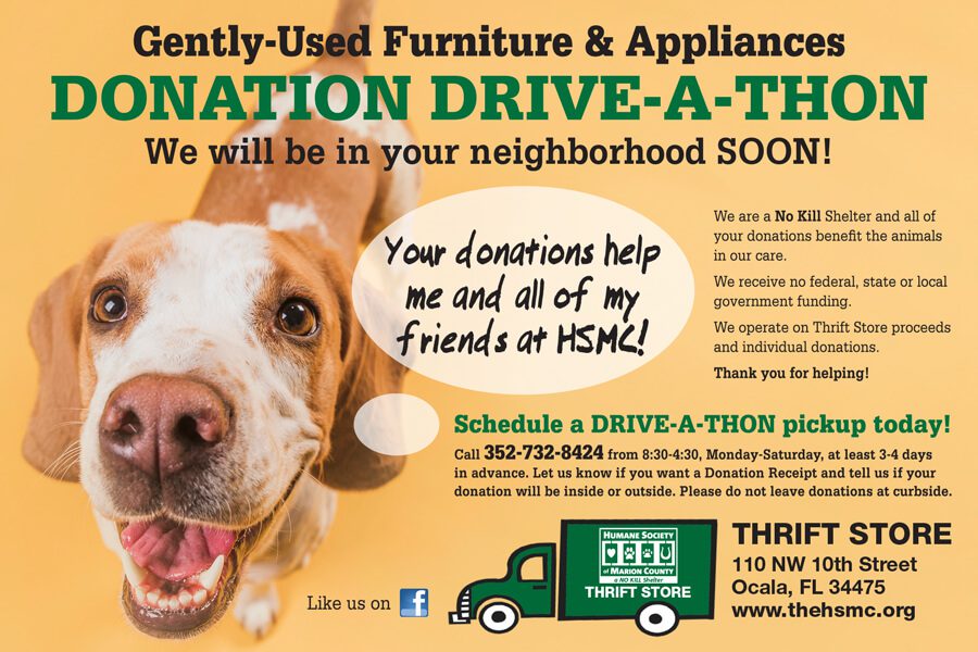 Dog promoting furniture and appliances donation.