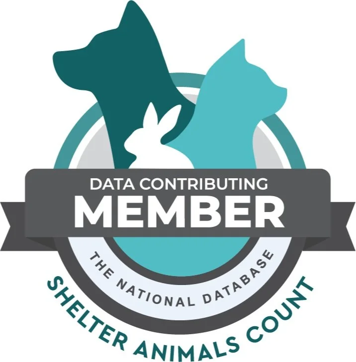 Shelter Animals Count — Data Contributing Member