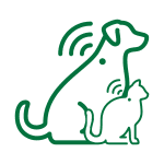 Dog and cat with medical cross icon