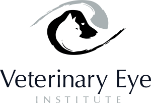 0e609e82-77e3-4c41-9b02-de395ee3e7b8